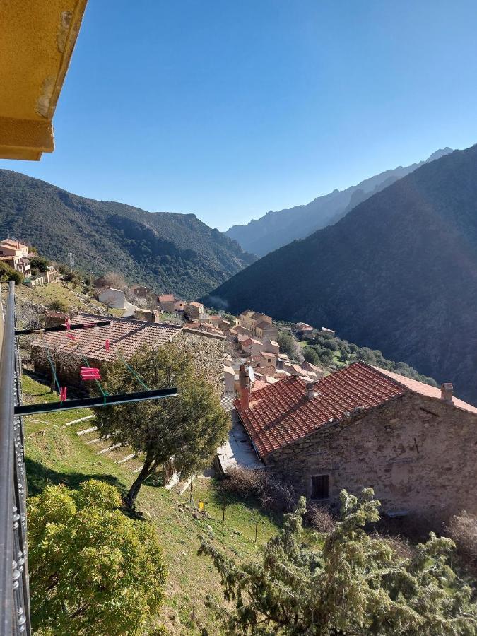 Residence E Cime Asco Locations De Studios Meubles Εξωτερικό φωτογραφία