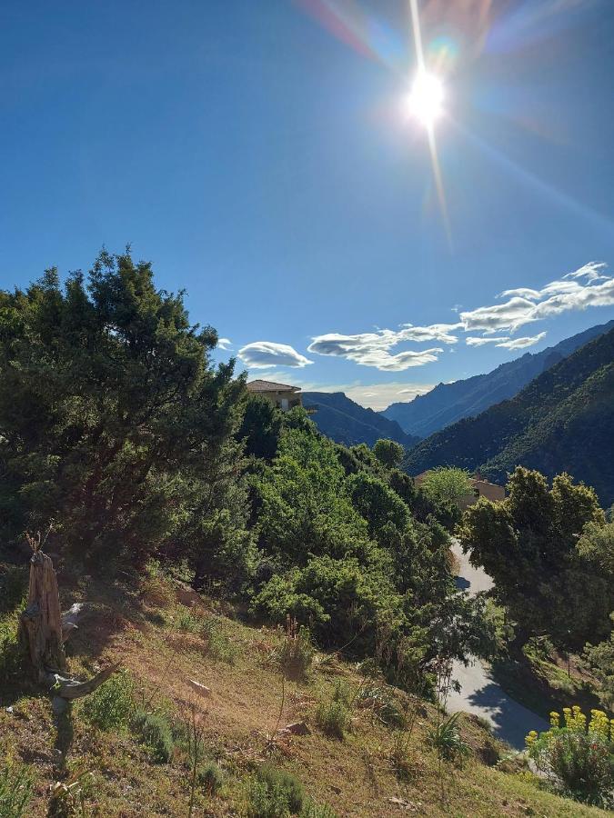 Residence E Cime Asco Locations De Studios Meubles Εξωτερικό φωτογραφία