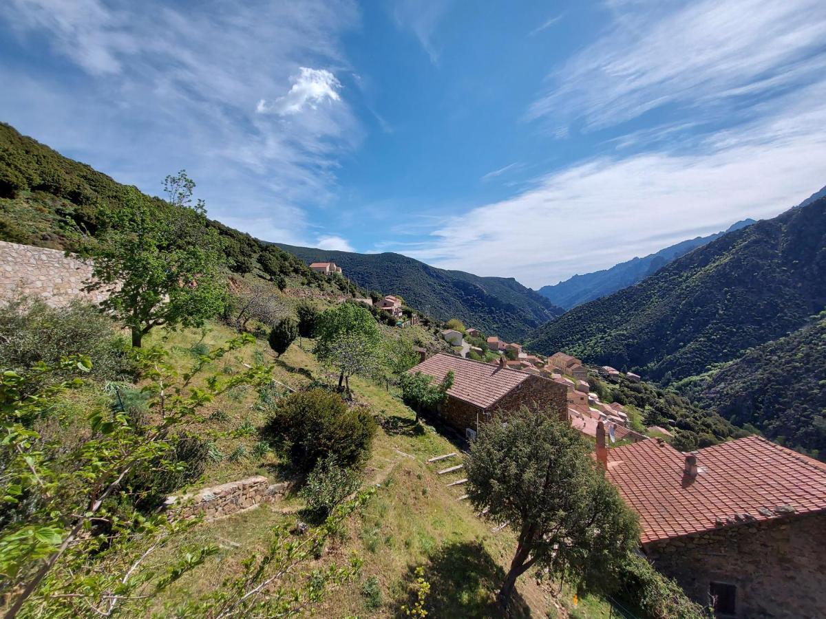 Residence E Cime Asco Locations De Studios Meubles Εξωτερικό φωτογραφία