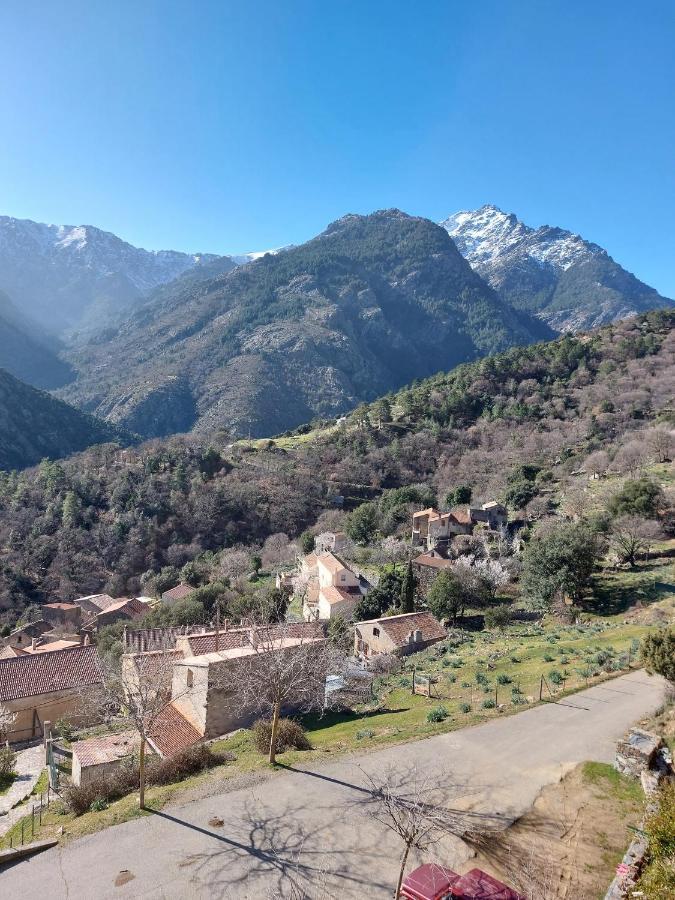 Residence E Cime Asco Locations De Studios Meubles Εξωτερικό φωτογραφία