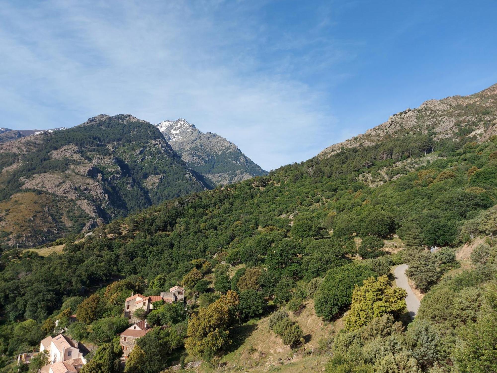 Residence E Cime Asco Locations De Studios Meubles Εξωτερικό φωτογραφία